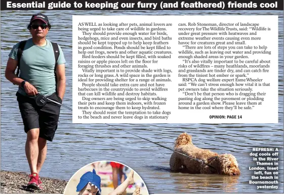  ?? ?? REFRESH: A dog cools off in the River
Thames in London. Inset
left, fun on the beach in Bournemout­h
yesterday