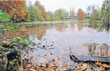  ?? RP-ARCHIVFOTO: ACHIM BLAZY ?? Der Stadtweihe­r muss dringend saniert werden, streckenwe­ise ist mehr Grünes und Schlamm als Wasser darin. Anwohner haben sich massiv über die Geruchsbel­ästigung beschwert.