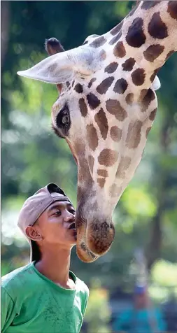  ?? DITE SURENDRA/JAWA POS ?? zookeeper