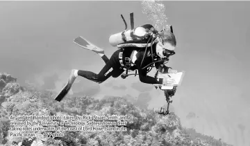  ??  ?? An undated handout photo taken by Rick Stuart-Smith and released by the University of Technology Sydney shows a diver taking notes underwater off the coast of Lord Howe Island in the Pacific ocean. — AFP photo