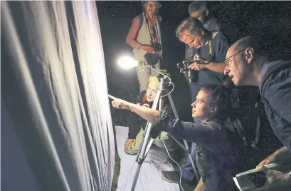  ?? RICHARD LAUTENS PHOTOS TORONTO STAR ?? A group of nature lovers known as the High Park Mothia venture into the woods to track and discover moth species.