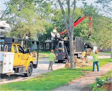  ?? SUZANNE BAKER/NAPERVILLE SUN ?? A Naperville Public Works crew removes a massive trunk from a tree in the parkway on Princeton Circle in Naperville on July 14. The tree was felled by an EF-3 tornado nearly a month ago.