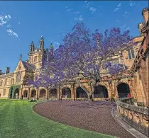  ?? Picture / Jason Tong ?? The lavish event will be held at the University of Sydney’s historic Great Hall.