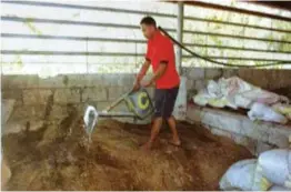  ??  ?? Fig. 12. Watering of compost pile.