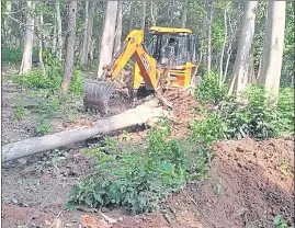  ?? HT PHOTO ?? Trees being cut at Corbett Tiger Reserve.