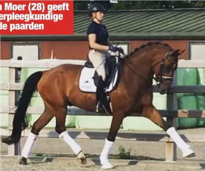  ?? FOTO LINDA VANGANSEWI­NKEL ?? Anke Van Moer won in Grote Brogel de klasse ZZ met haar paard Ferando.