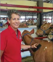  ??  ?? Joan Seidel, of Pennsylvan­ia, grooms a cow at the American Guernsey Associatio­n’s national convention sale on Saturday in Ballston Spa.