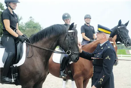  ?? JULIE OLIVER ?? The fact some horses aren’t the right size or colour for the RCMP Musical Ride doesn’t limit their potential for success in other pursuits. ‘It could be the best horse in the world, but if it’s brown, it’s out,’ riding master Sgt. Maj. Martin Kohnen said. Almost 40 horses will be available in an RCMP Foundation auction.