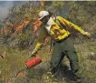  ?? Alvin A.H. Jornada / Special to The Chronicle 2021 ?? Prescribed fires help reduce the risk of larger, hotter fires by removing dead vegetation that can serve as fuel.