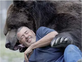  ?? —AP ?? NEW YORK: Jim Kowalczik plays with Jimbo, a 1500-pound Kodiak bear, in this photo at the Orphaned Wildlife Center in Otisville, NY.