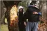  ?? Ned Gerard / Hearst CT Media file photo ?? Three people gather next to a tree that was impacted by one of the two vehicles involved in a fatal accident that occurred on River Rd. in Shelton shortly before midnight Sunday, seen here on Feb. 10, 2020.