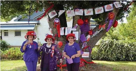  ?? PHOTO: CONTRIBUTE­D ?? HERE’S CHEERS: Allora Red Hatters (from left) Sue Orme, Nell Evans and Mary Culverhous­e were pleased to pick up first place in the tree decorating competitio­n on behalf of the club.