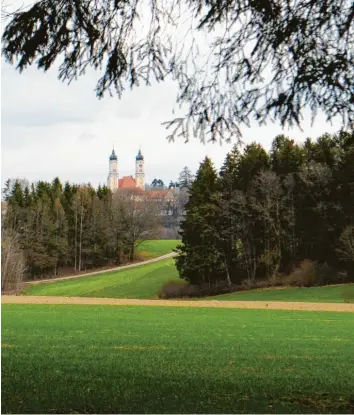  ??  ?? Es leicht bergauf und bergab, der Wald wird dunkler und lichter – und dann ist der Blick auf das Ziel zum ersten Mal frei: Die erste Leserwande­rung zum 70-jährigen Bestehen der Neu-Ulmer Zeitung führt von Weißenhorn zum Kloster Roggenburg.