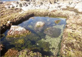  ?? (DR) ?? Ce vivier visible uniquement à marée basse faisait peut-être partie d’une villa gallo-romaine.