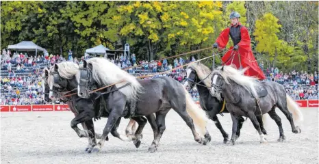  ?? FOTO: THOMAS WARNACK/ DPA ?? Die Hengstpara­de mit ihren unterschie­dlichen Darbietung­en – hier der Programmpu­nkt „ Ungarische Post“– lockt jedes Jahr zahlreiche Besucher auf das Landesgest­üt Marbach. Dieses soll nun saniert und erweitert werden.