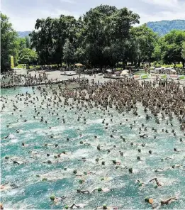  ??  ?? 2017 haben über 10 000 Schwimmer an der Zürcher Seeüberque­rung