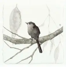  ?? Artist photo courtesy NBC/Universal. ?? 4
Bird Psalm II, watercolor,
5¾ x 5¾"
4