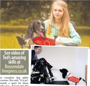  ??  ?? ●● Chloe Fuller with her assistance dog Ted, and below Ted taking off her socks