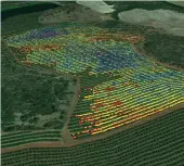  ?? CREDIT: UNIVERSITY OF NEW ENGLAND ?? Satellite imaging of an avocado orchard block.