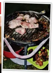  ??  ?? Ploy: The chicken Medouni barbecued to hide the smell of Miss Lionnet’s burning corpse