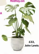  ?? ?? £33, John Lewis