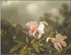  ??  ?? Martin J. Heade’s “Jungle Orchids and Hummingbir­ds” is part of “Art, Artifact, Artifice.”