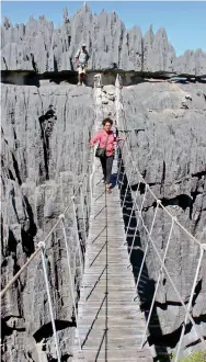  ??  ?? Yashoda and Paul walk across the creaky bridge ( above) A lemur peaks from his vantage point ( below)