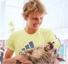  ?? Reuters ?? Alexander Zverev of Germany meets a wombat at Melbourne Park.