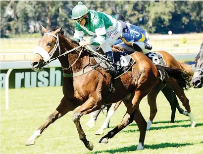  ??  ?? BANK. Build a bank in Race 1 over 1160m at tomorrow’s Turffontei­n meeting by backing Whorly Whorly, pictured winning a 1200m Vaal Juvenile Plate in April.