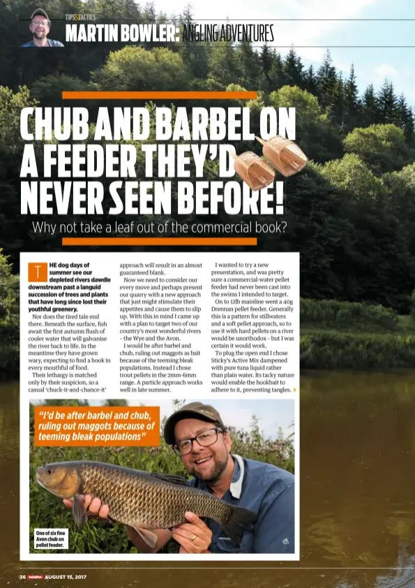  ??  ?? One of six fine Avon chub on pellet feeder.