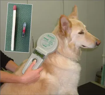  ??  ?? It’s easy to scan a dog to retrieve its microchip number