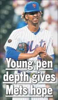  ?? Anthony J. Causi ?? WORK TO DO: The Mets believe Gerson Bautista, who has struggled in the majors this season, has work to do to find more consistenc­y.