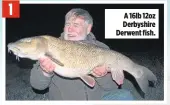  ??  ?? 1 A 16lb 12oz Derbyshire Derwent fish.