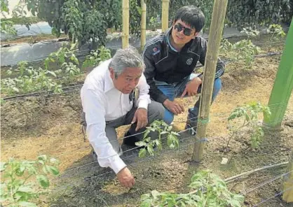  ??  ?? —REFUERZO SOCIAL. El proyecto de huertos urbanos de San Salvador es una de las iniciativa­s del AMB.