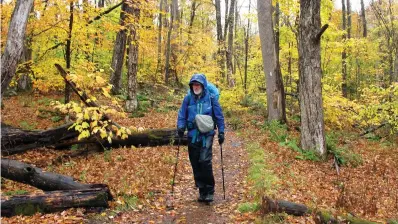  ??  ?? ■ LEFT: Artist Rob Mullen walks Oct. 13 down Long Trail, the country’s oldest long-distance trail, in Manchester, Vt. Mullen was nearing the end of his 272-mile monthlong hike down the length of Vermont, painting along the way.