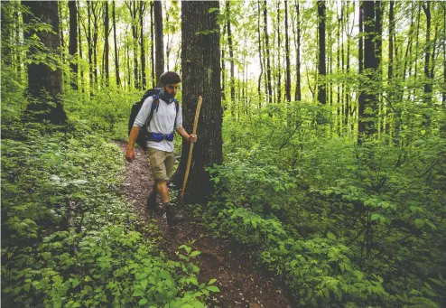  ?? SAMUEL CORUM / THE NEW YORK TIMES ?? Sacha Servan-schreiber, from the Boston area, hikes along the Appalachia­n Trail near Ashby Gap in Virginia on Monday. Hikers on the trail create a community, so word spread quickly about a threatenin­g man who would later be charged with murdering one hiker and stabbing another.