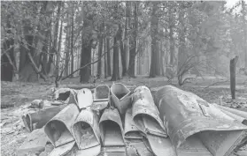  ?? NOAH BERGER/AP ?? Scorched mailboxes lie on the ground Sunday after the Dixie Fire passed through the Indian Falls community of Plumas County, Calif.