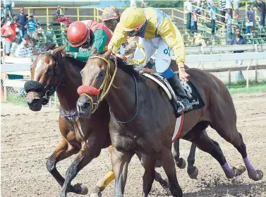  ?? FILE ?? CHOO CHOO BLUE (left), ridden by Omar Walker, beats GARY GLITTER, with Ryan Wilson aboard, by a nose in an overnight allowance 1200 metres event on December 27 last year.