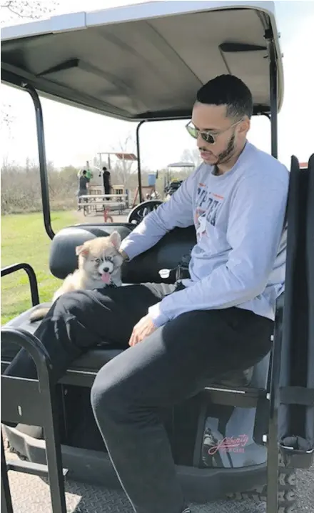  ?? — THE ASSOCIATED PRESS FILES ?? The Astros’ Carlos Correa introduced his ‘pomsky’ Groot to the world on Instagram with a video of the pup chasing a baseball that has been viewed more than 1.3 million times.