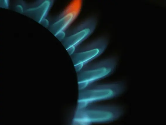  ??  ?? Centrica dropped 5.01% and SSE 3.35% after the Conservati­ves’ announceme­nt (Getty)
