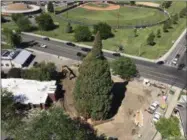  ?? REBECCA BOONE— ASSOCIATED PRESS ?? An aerial view shows heavy machinery used by workers as they pruned the roots, built a burlap, plywood and steelpipe structure to contain the rootball so they can move the roughly 100-foot sequoia tree in Boise, Idaho, Thursday, June 22, 2017. The...