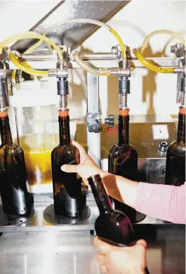  ??  ?? Above: Olive oil, which is sold at Cache Creek Casino and specialty shops, is bottled at the tasting room. Left: Farm manager Jim Etters checks out some of the olives growing at Seka Hills in Brooks.