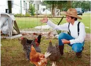  ?? Jerry Baker / For the Chronicle ?? Braden Baird, who was a freshman this school year at Klein High School, feeds the chickens, which are all named after Disney princesses, at Wunderlich Farm in Klein.