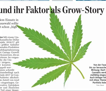  ?? Foto: iStock ?? Von der Faser bis zur berauschen­den Wirkung: Hanf und Cannabis werden vielfältig eingesetzt. Auch Anleger können sich diese Themen ins Portfolio holen.