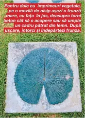  ??  ?? Pentru dale cu imprimeuri vegetale, pe o movilă de nisip așezi o frunză mare, cu fața în jos, deasupra torni beton cât să o acopere sau să umple un cadru pătrat din lemn. După uscare, întorci și îndepărtez­i frunza.