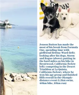  ??  ?? Jenson Button has made the most of his break from Formula One, spending time with girlfriend Brittny Ward (left); looking after his dogs, Storm and Rogue (above); putting in the hard miles on his bike in Brentwood, California (below left); competing in...