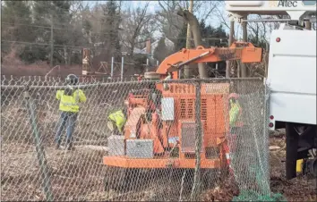  ?? Ken Borsuk / Hearst Connecticu­t Media ?? Metro-North Railroad’s ongoing work to remove trees along the railroad tracks in Riverside has met with protest from residents who say removing all of the trees will increase noise pollution and create an environmen­tal issue.