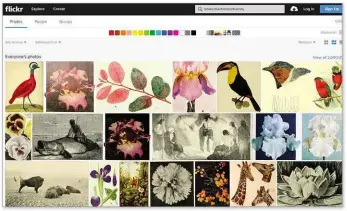  ??  ?? Toucans, Cro-magnons, giraffes and tulips - they’re all downloadab­le for free