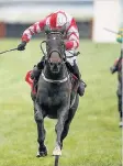  ??  ?? PLENTY of horses have landed the Ladbrokes Trophy on their way to Cheltenham Gold Cup glory and it is a path Total Recall could take after landing an epic running of the historic handicap at Newbury.
After making light work of his rivals on his debut...