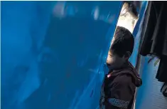  ??  ?? A boy whose father was arrested for joining Isil looks out from a tent in Hammam al-Alil